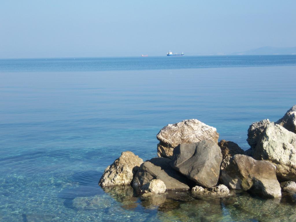 Anessis Cosmos Aparthotel Anaxos Bagian luar foto