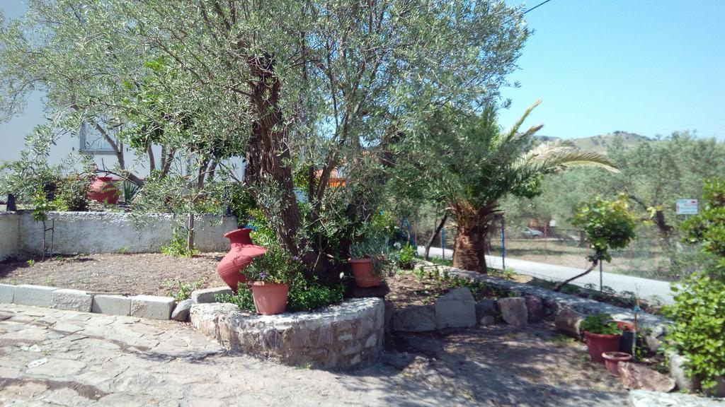 Anessis Cosmos Aparthotel Anaxos Bagian luar foto