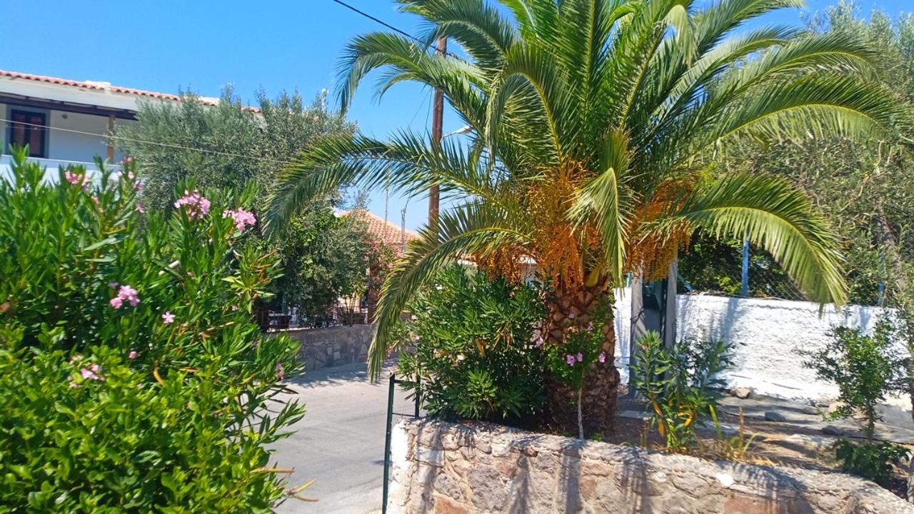 Anessis Cosmos Aparthotel Anaxos Bagian luar foto