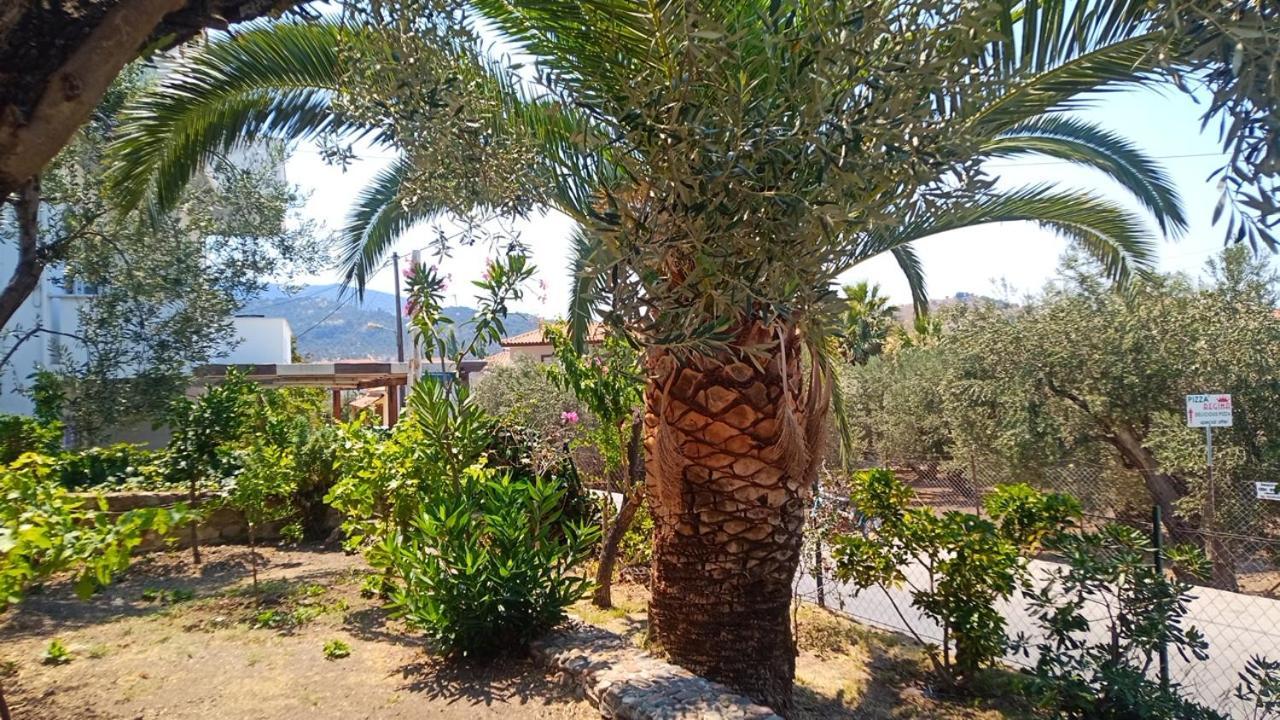 Anessis Cosmos Aparthotel Anaxos Bagian luar foto