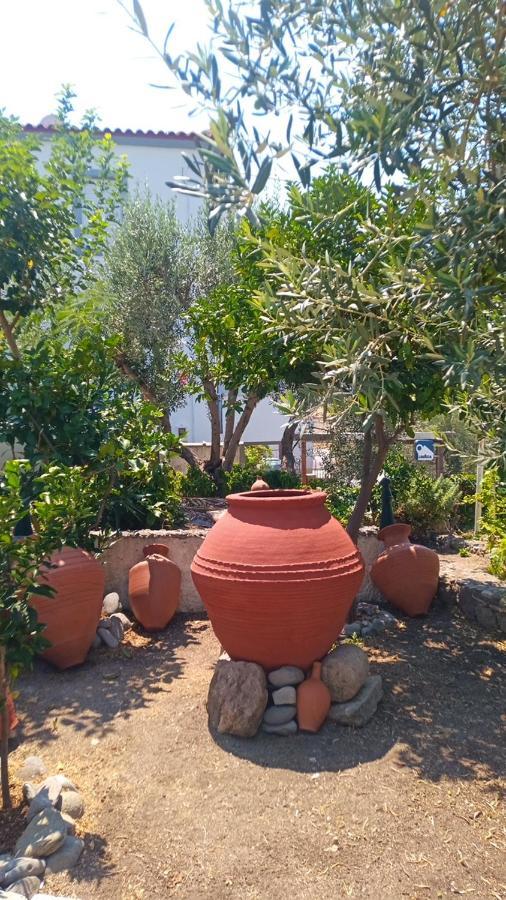 Anessis Cosmos Aparthotel Anaxos Bagian luar foto