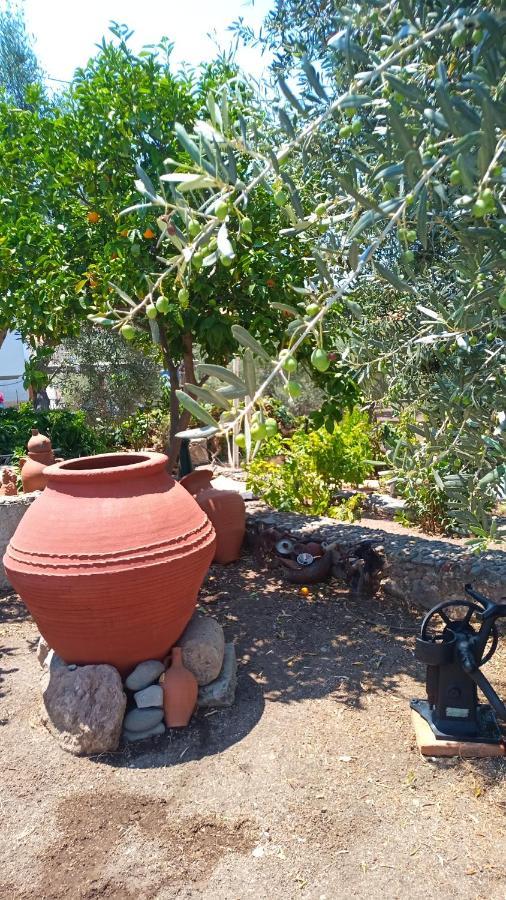 Anessis Cosmos Aparthotel Anaxos Bagian luar foto