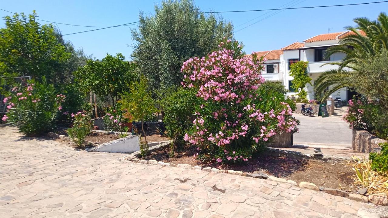 Anessis Cosmos Aparthotel Anaxos Bagian luar foto